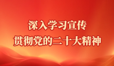 学习贯彻党的二十大精神